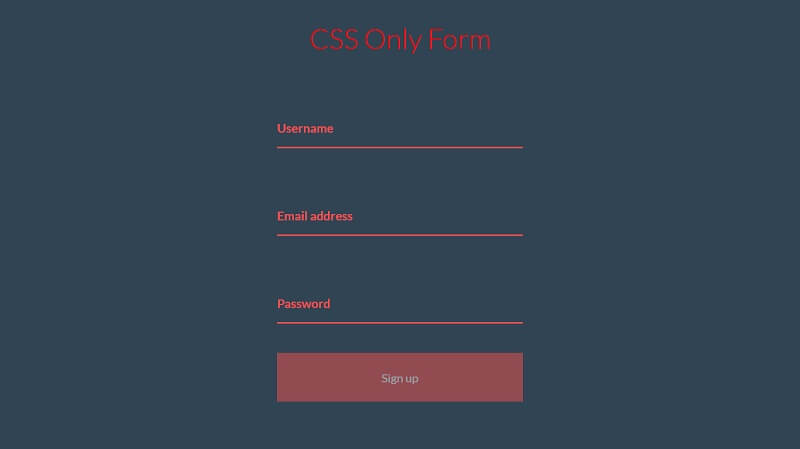 CSS Form