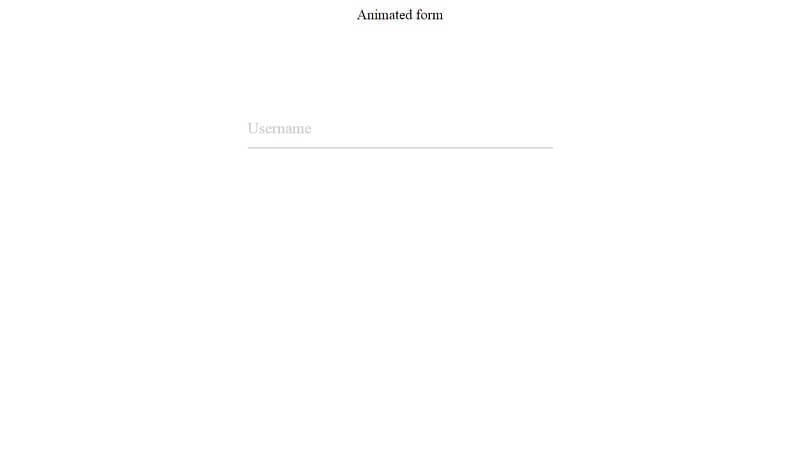 Pure CSS Form animation