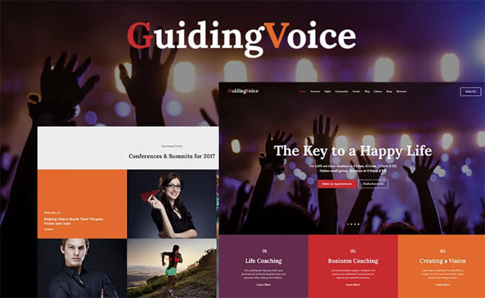 Guiding Voice