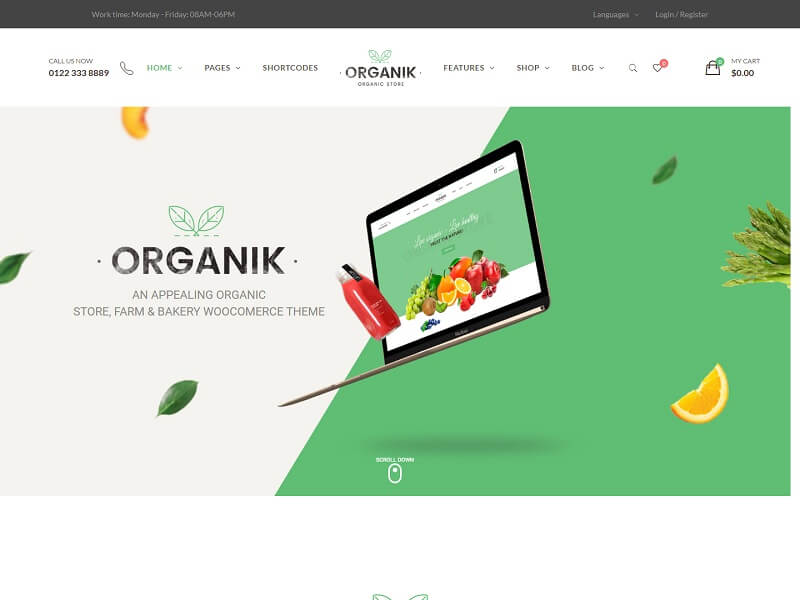 Organik: Fast Loading WordPress Themes