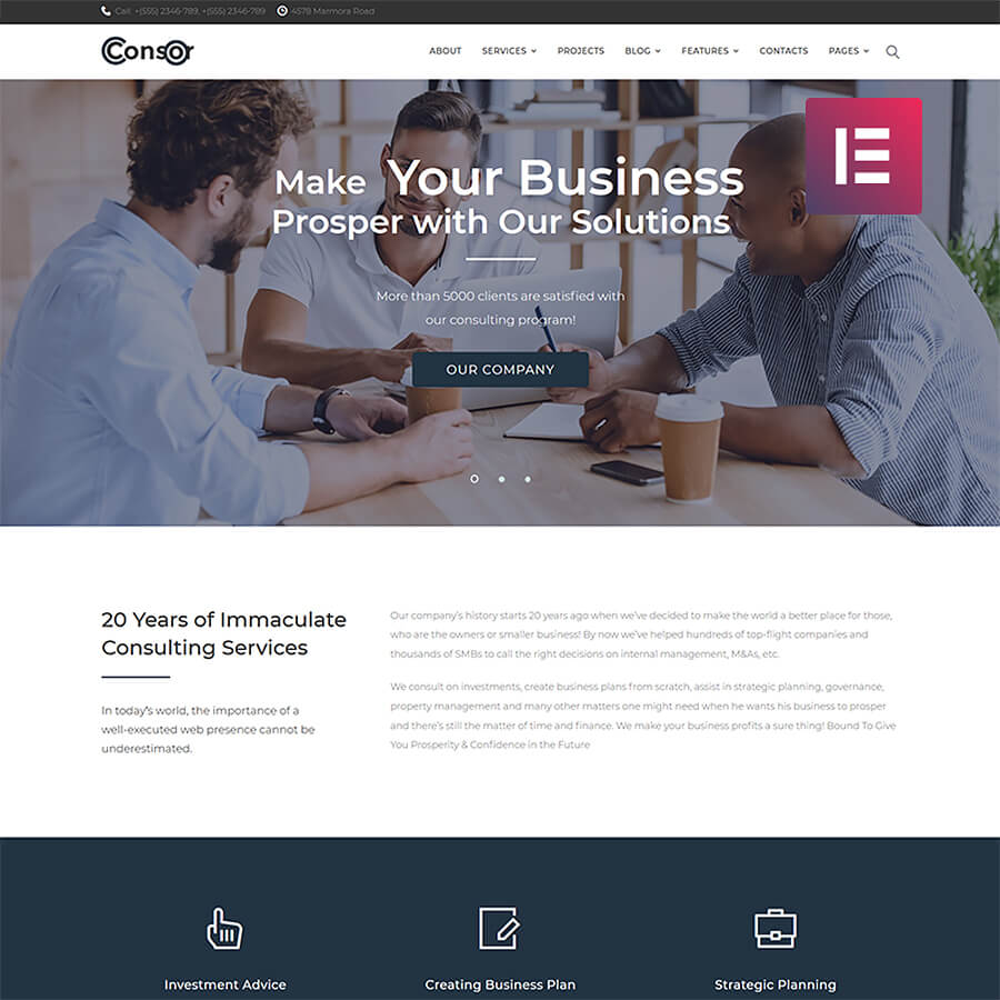 Consor: Consulting for Business Elementor WordPress Site