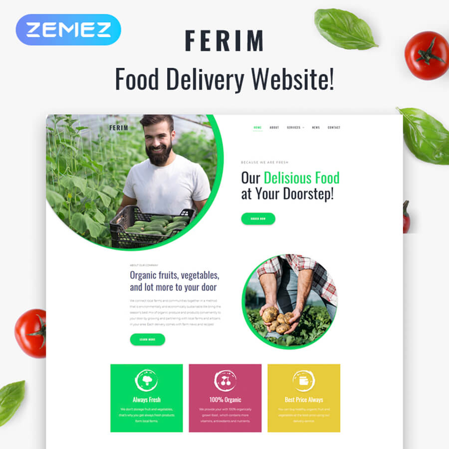 Ferim: Most Appealing WordPress Themes