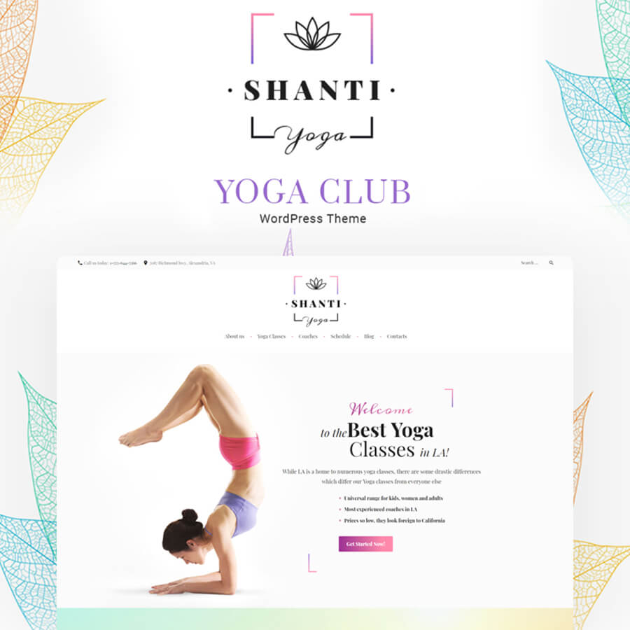 Shanti: Most Appealing WordPress Themes