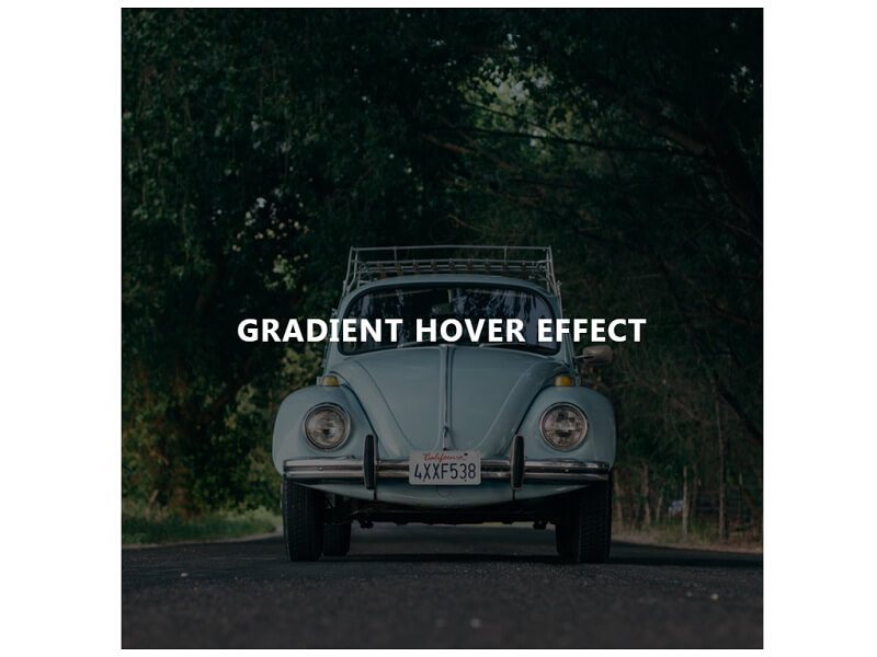 Download Svg Gradient Animation Hover