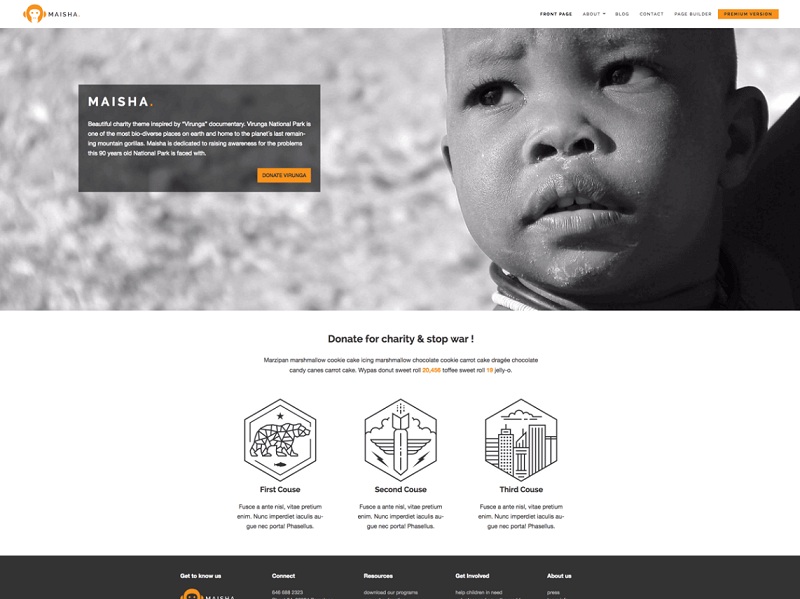 Maisha Lite: Free Social Services And NGO WordPress Themes