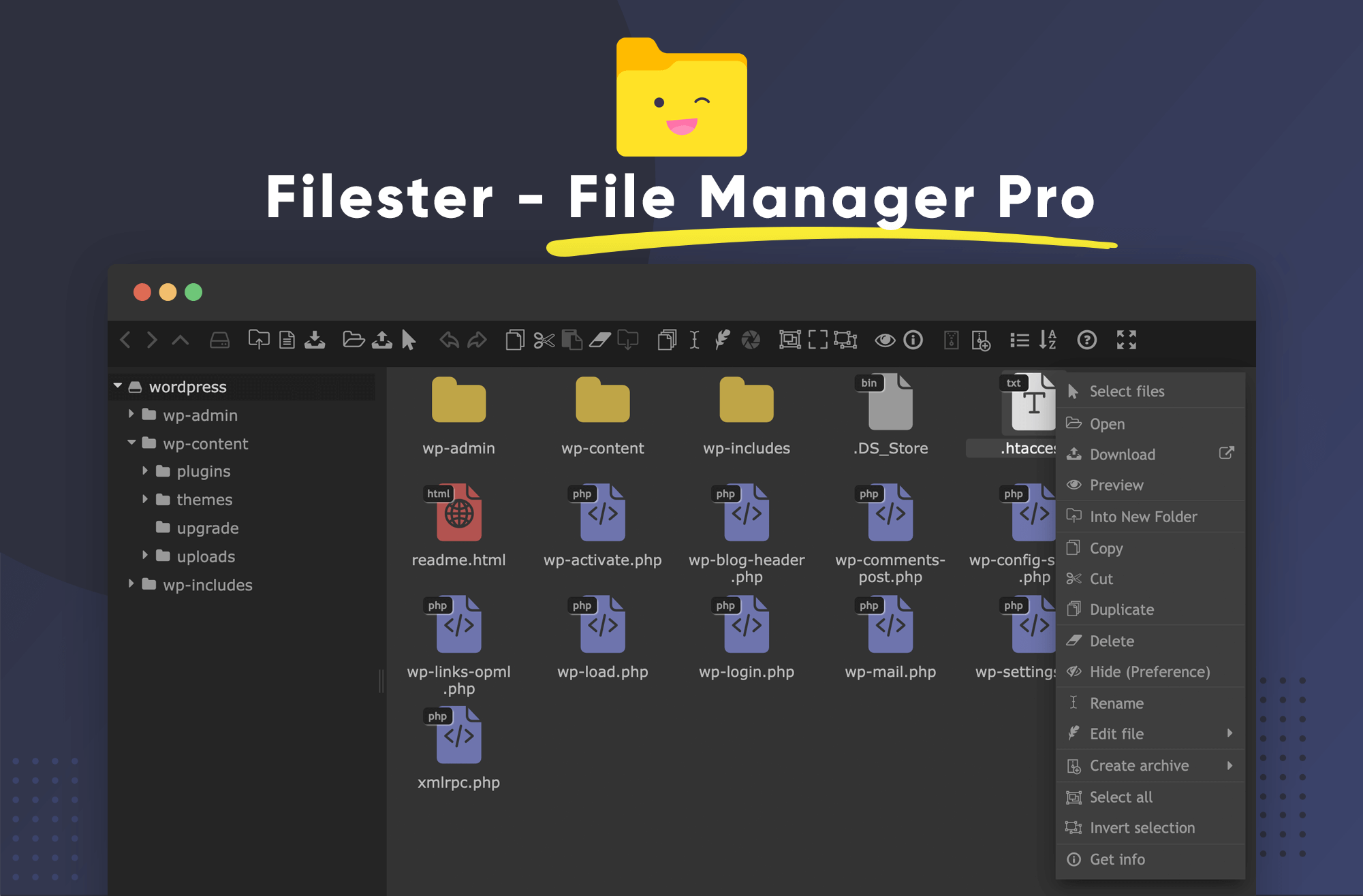 File manager pro. File Manager.