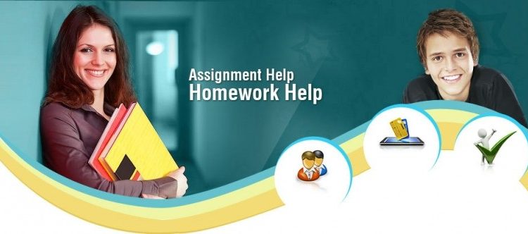 How to Build Assignment Help Websites