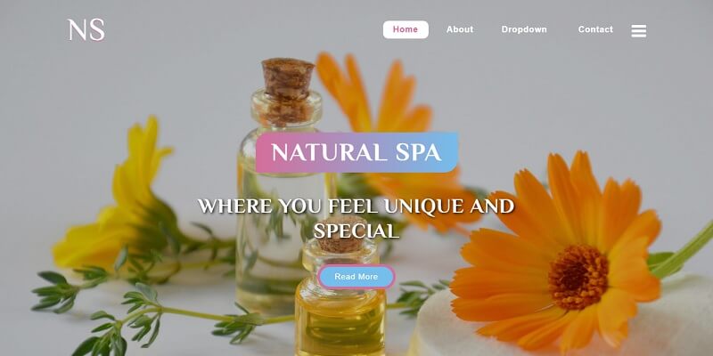 Free Spa Salon HTML Website Templates