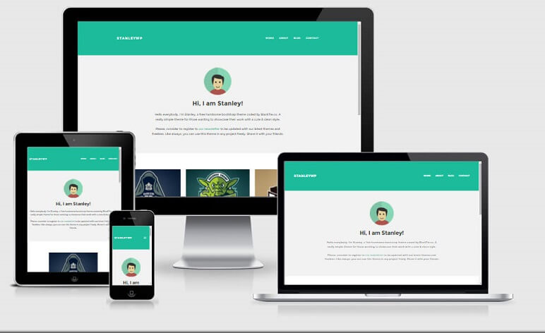 responsive WordPress theme