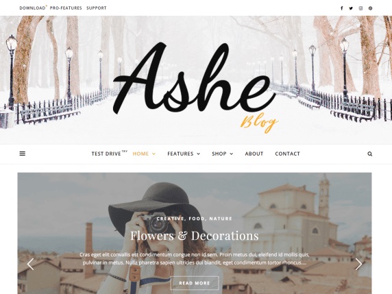 Ashe Fashion WordPress Theme