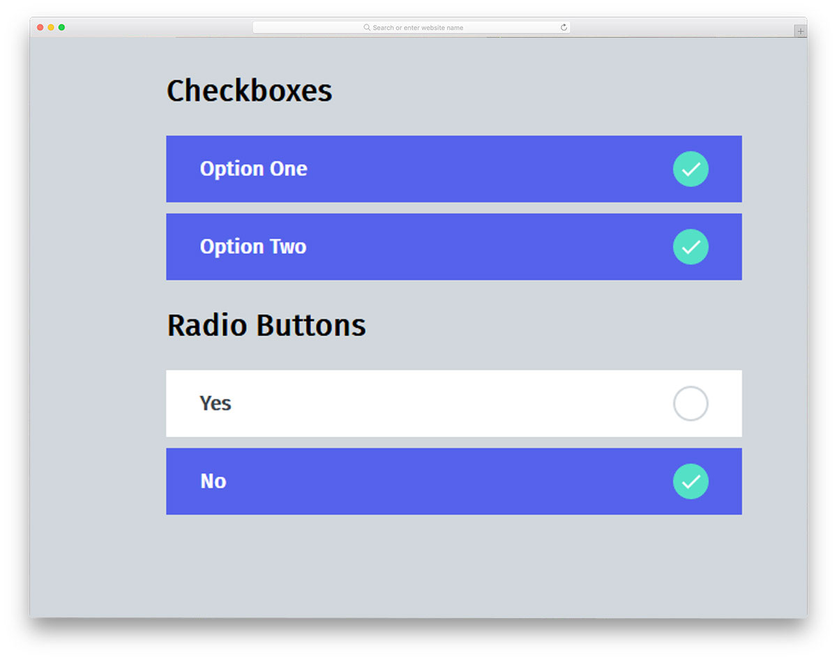 Material Inspired Checkboxes And Radio Groups