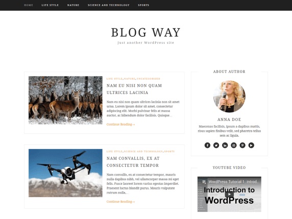Blog Way free wordpress Theme