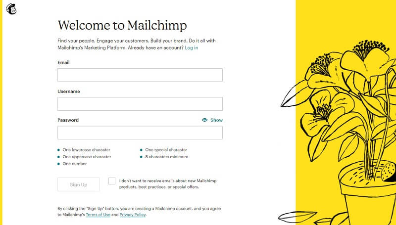 Mailchimp account