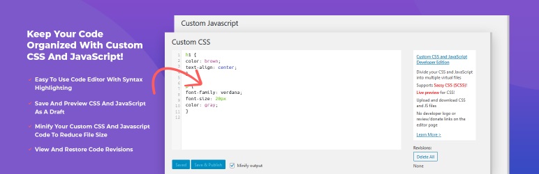 Custom CSS and JavaScript