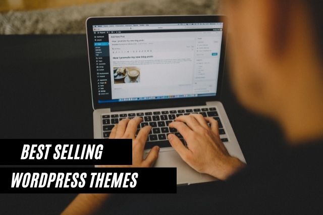 Best Selling WordPress Themes