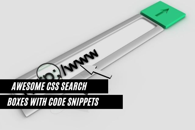CSS Search Boxes With Code Snippets