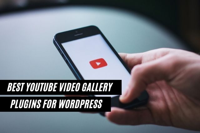 Best YouTube Video Gallery Plugins for WordPress