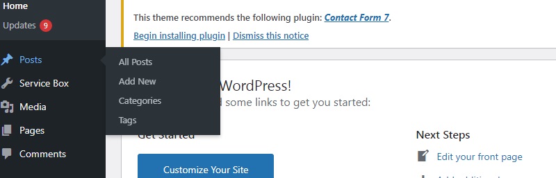 WordPress Dashboard Posts