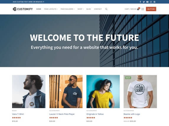 Customify multipurpose theme for WordPress 