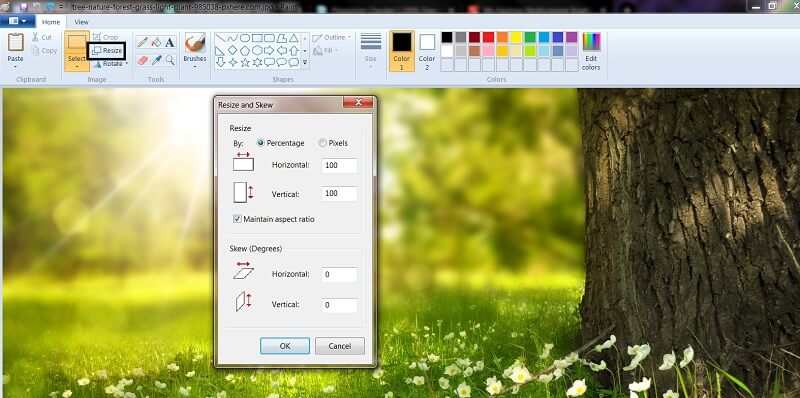 Image size reduction for Windows in Paint