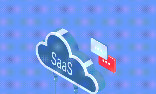 SaaS security