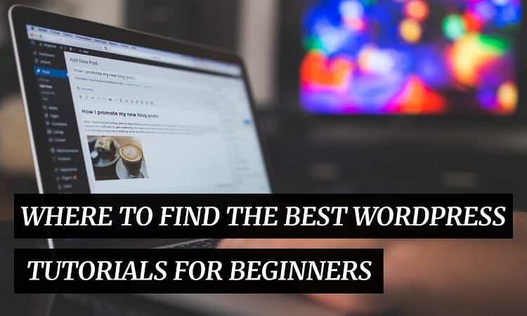 Best WordPress Tutorials For Beginners