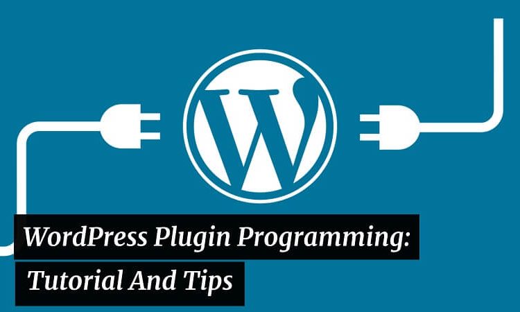 WordPress Plugin Programming