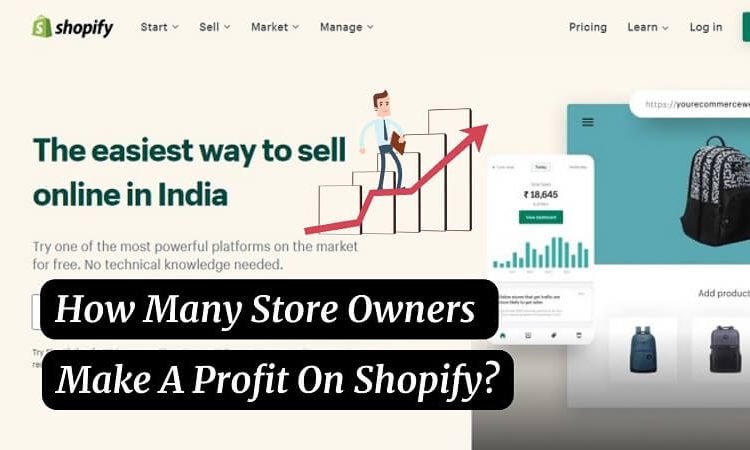 How Many Store Owners Make A Profit On Shopify
