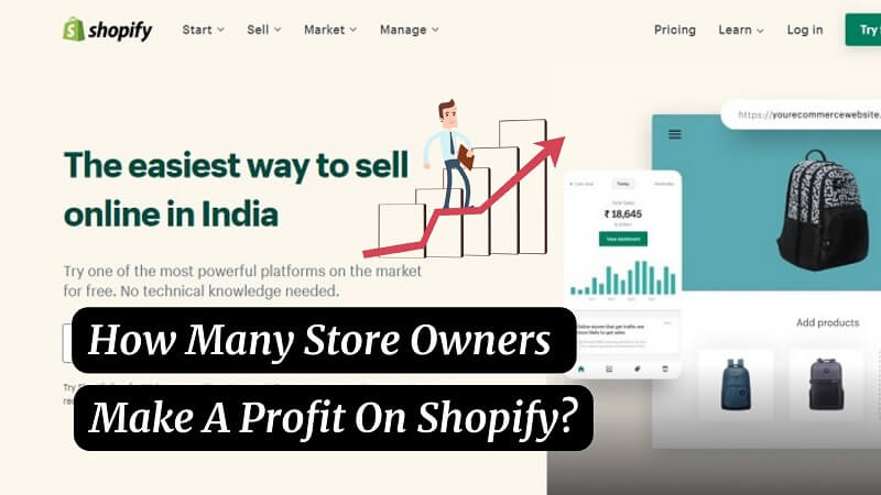 How Many Store Owners Make A Profit On Shopify