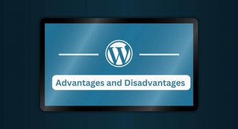 What Are The Advantages and Disadvantages of Using WordPress In 2024?
