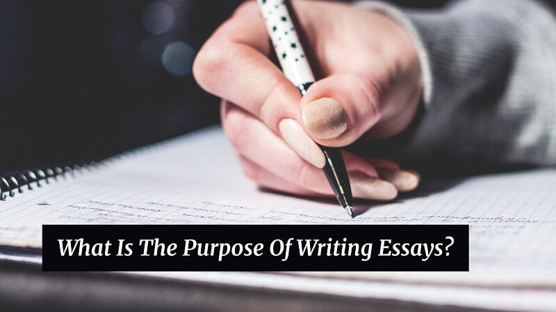 What Is The Purpose Of Writing Essays? | Wpshopmart