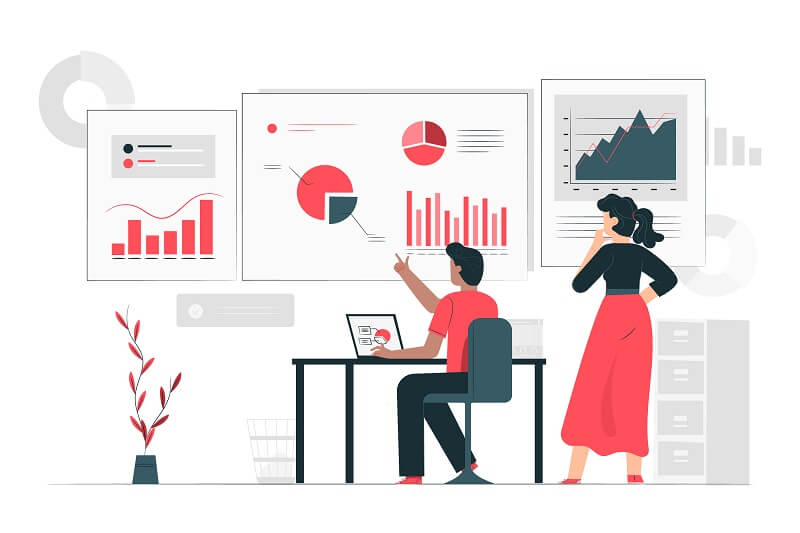 Remote Data Analyst Information