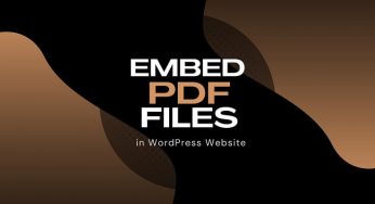 How to Embed PDF Files in WordPress Website?