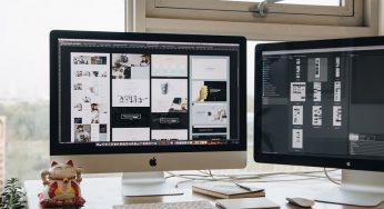 How to Choose the Best WordPress Theme for Your New CBD Business